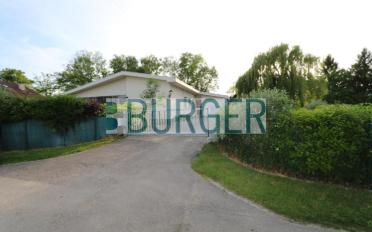 Single house 9 rooms - image - 3