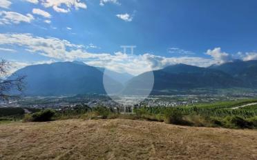 Wohnung 2.5 Zimmer - image - 5