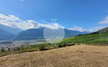 Wohnung 4.5 Zimmer - image - 7