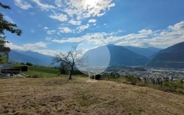 Wohnung 2.5 Zimmer - image - 7