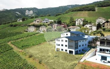 Wohnung 2.5 Zimmer - image - 3