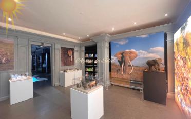 Ladenfläche 4 Zimmer - image - 2