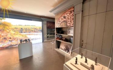 Ladenfläche 4 Zimmer - image - 3