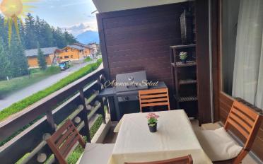 Wohnung 2.5 Zimmer - image - 1