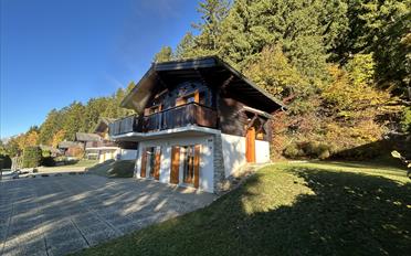 Chalet 4 Zimmer - image - 1