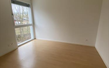 Wohnung 4.5 Zimmer - image - 10