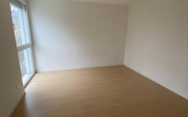 Wohnung 4.5 Zimmer - image - 11