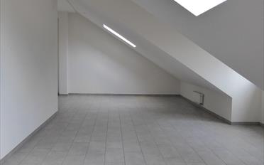 Appartement 3.5 pièces - image - 3