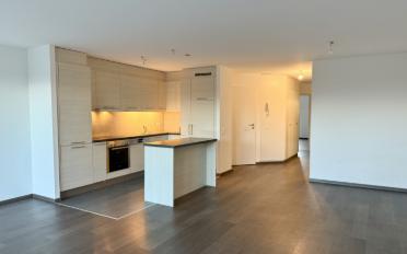 Terrace flat 3.5 rooms - image - 2