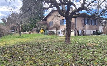 Maison jumelée 7 pièces - image - 1