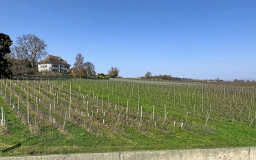 Duplex 4.5 rooms - image - 9
