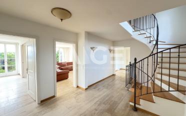 Single house 12 rooms - image - 4