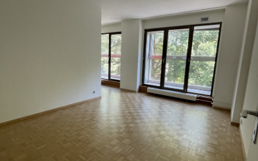 Apartment 1 room - image - 6