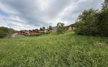 Building land - image - 3