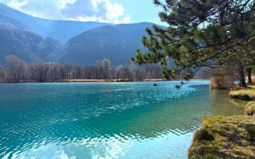 Appartement 2.5 pièces - image - 5