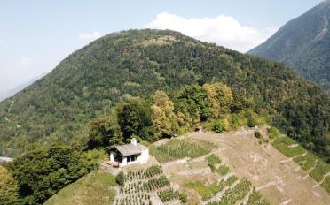 Agricultural land - image - 5