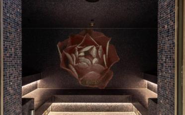 Apartment 2.5 rooms - image - 7
