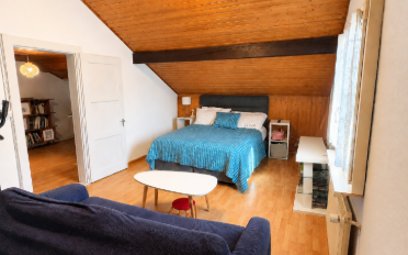 Einfamilienhaus 4.5 Zimmer - image - 4