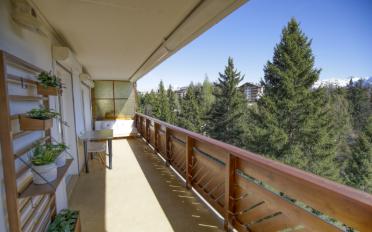 Wohnung 2.5 Zimmer - image - 11