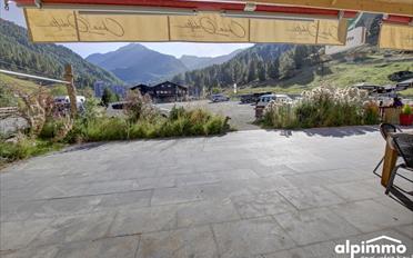 Restaurant - image - 9