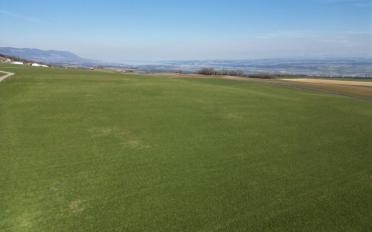 Villa 5.5 pièces - image - 13