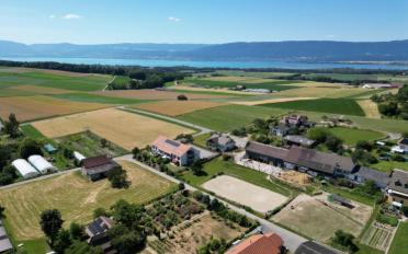 Reihenfamilienhaus 4.5 Zimmer - image - 10