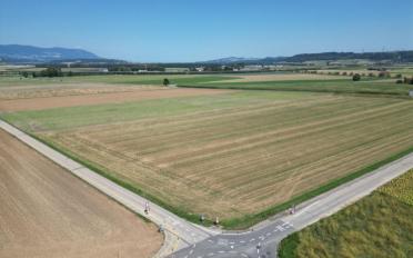 Villa 5.5 Zimmer - image - 13