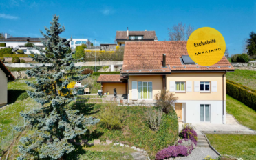 Einfamilienhaus 5.5 Zimmer - image - 1