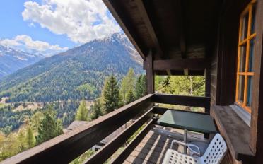 Chalet 4 Zimmer - image - 13
