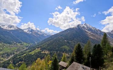 Chalet 4 Zimmer - image - 14