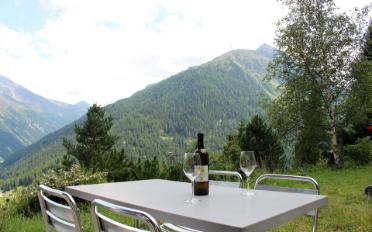 Chalet 4 Zimmer - image - 16