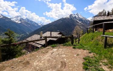 Chalet 4 Zimmer - image - 19