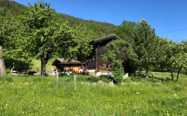Chalet 4.5 rooms - image - 14