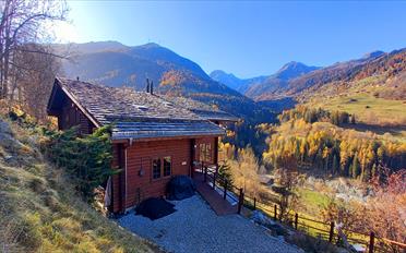 Chalet 12 rooms - image - 1
