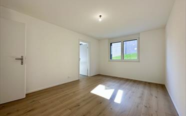 Wohnung 3.5 Zimmer - image - 4