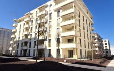 Apartment 4.5 rooms - image - 12