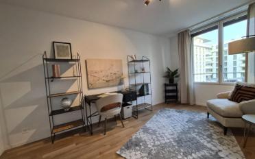 Attikawohnung 5.5 Zimmer - image - 5