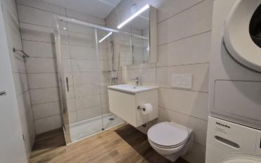 Attic flat 5.5 rooms - image - 8