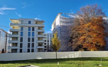 Wohnung 4.5 Zimmer - image - 3