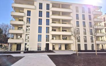 Wohnung 3.5 Zimmer - image - 1