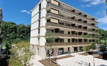 Apartment 2.5 rooms - image - 1