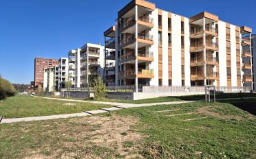 Wohnung 3.5 Zimmer - image - 1