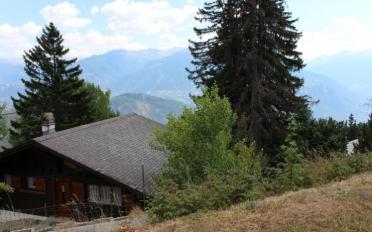 Chalet 4.5 Zimmer - image - 10