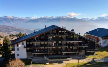 Studio 1 room - image - 10