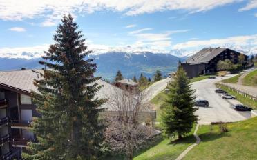 Wohnung 2 Zimmer - image - 7