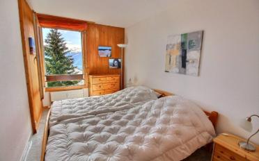 Wohnung 2 Zimmer - image - 5