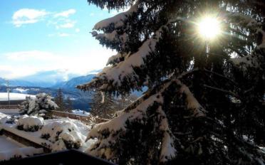 Appartement 3 pièces - image - 9