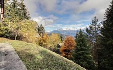 Appartement 3 pièces - image - 8