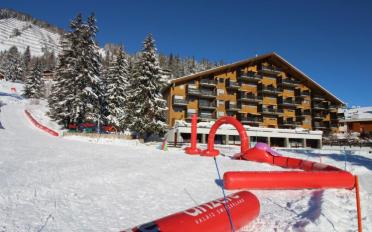 Studio 2 Zimmer - image - 8