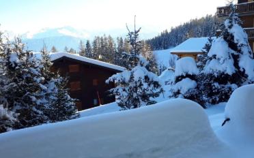 Wohnung 2 Zimmer - image - 10